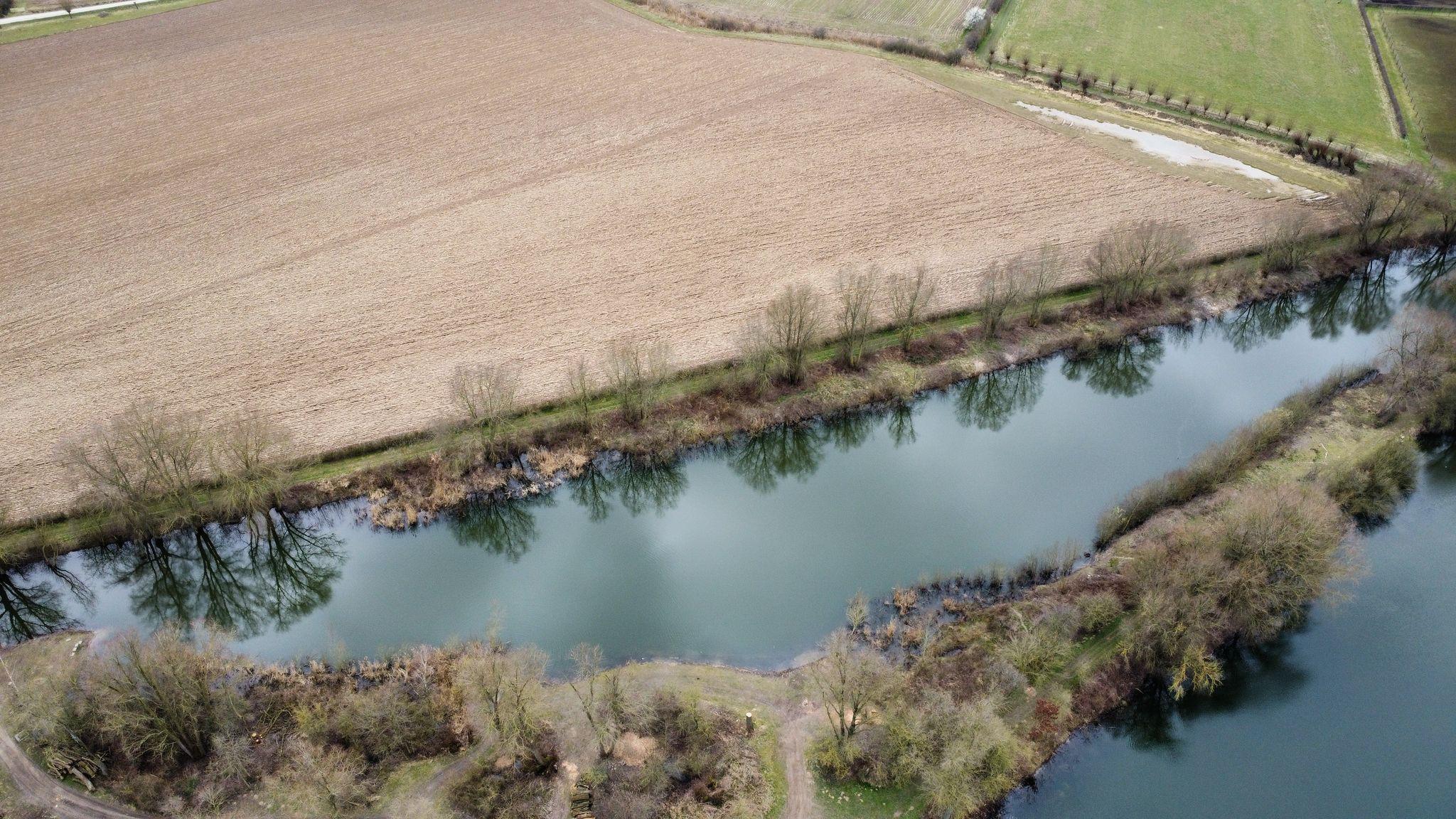 kasteelshof_kweekvijver